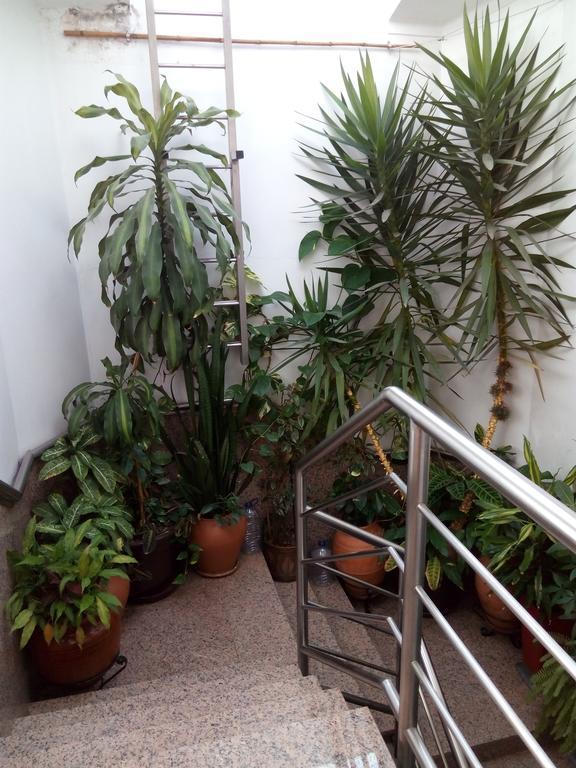 מלון קוימברה Residencial Moeda מראה חיצוני תמונה