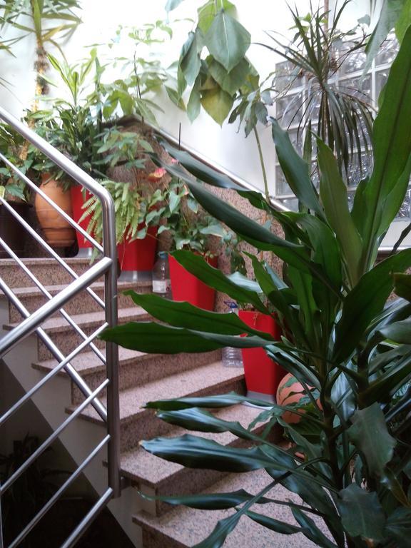 מלון קוימברה Residencial Moeda מראה חיצוני תמונה